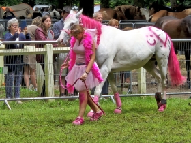  - FETE DU CHEVAL 