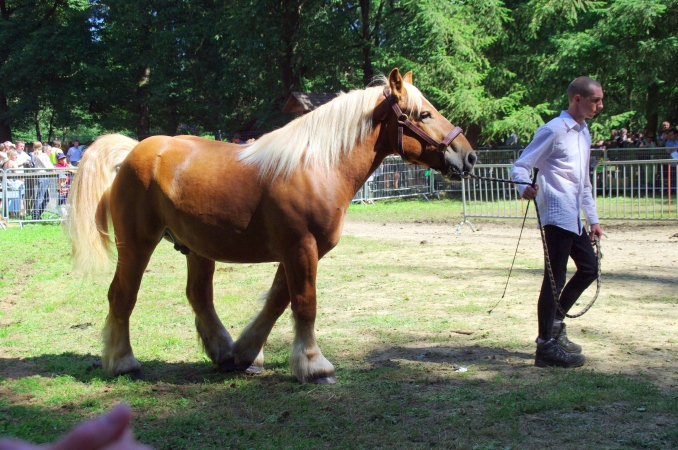  - FETE DU CHEVAL 