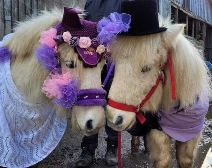  - FETE DU CHEVAL 